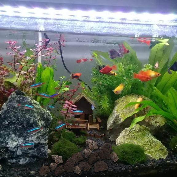 YSNOOWE Lava Rock Black Irregular 1Bag For Garden Rocks And Diy Projects