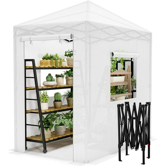 YSNW Walk-in Greenhouse, Portable Pop-in Green House with Zippered Door and 2 Roll-up Windows and PE Cover, Portable and Easy Assemble (White, 6x4 Feet)