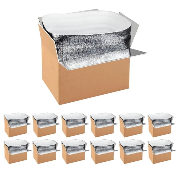 YSSOA 12 Pack 12"x10"x7" Insulated Shipping Boxes with Aluminum Foil Liner,Thermal Insulation Cold Pack Shipping Boxes for Frozen , Reusable Styrofoam Cooler Box, Small Mailing Box