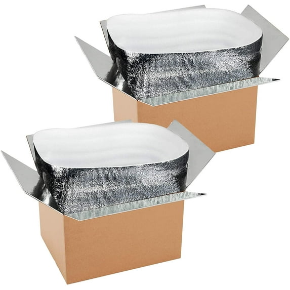 YSSOA 2 Pack Thermo Chill Double Insulated Carton with Foil Insulated Bag Liner Mailing Box