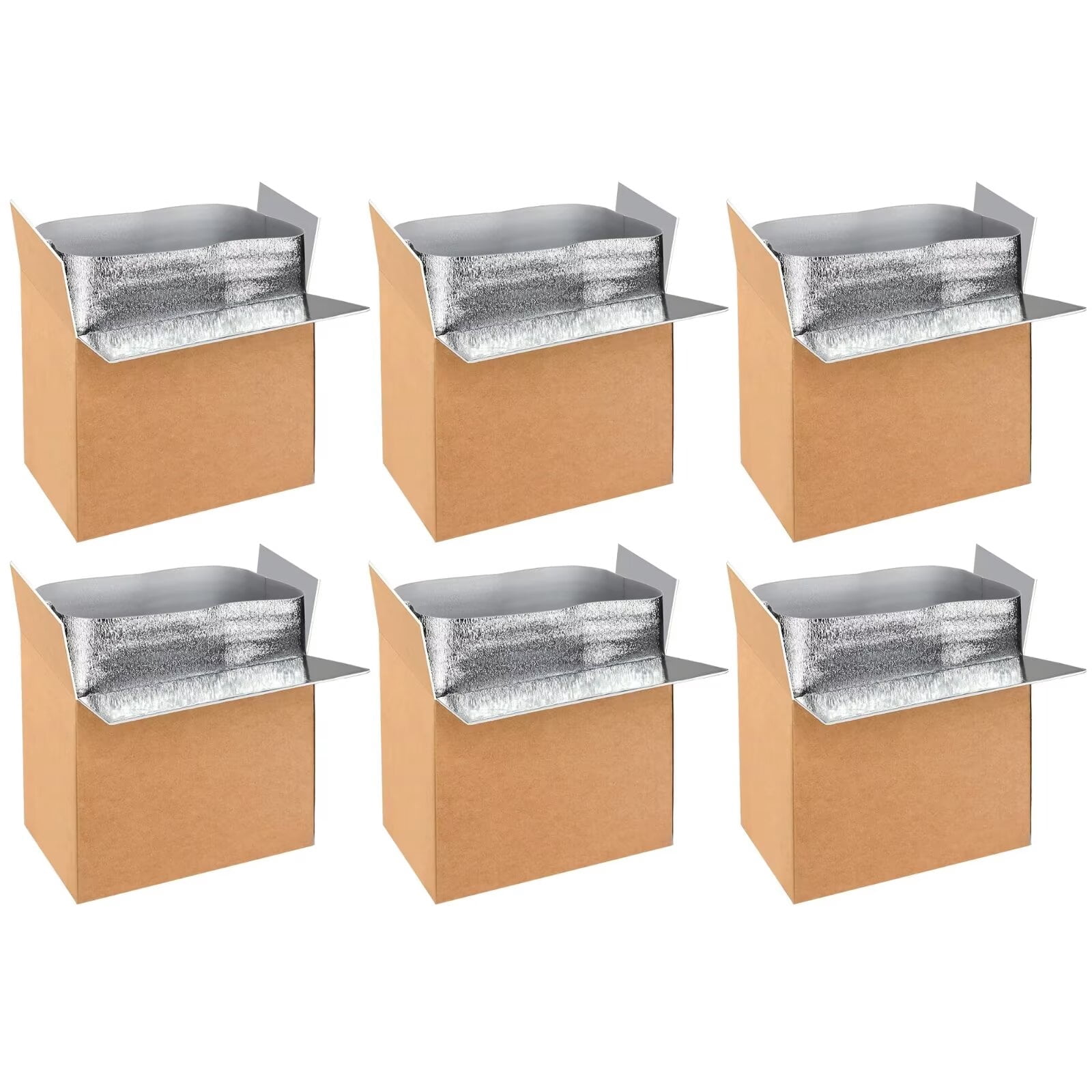 YSSOA 6 Pack 19"x12"x16" Insulated Shipping Boxes with Aluminum Foil Liner,Thermal Insulation Cold Pack Shipping Boxes for Frozen , Reusable Styrofoam Cooler Box, Small Mailing Box