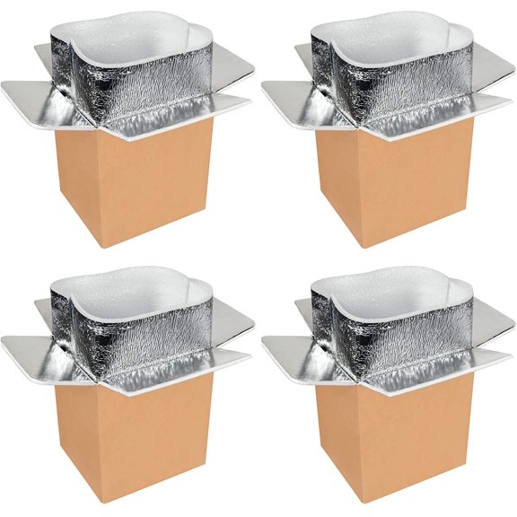 YSSOA 4 Pack 6"x5"x9" Insulated Shipping Boxes with Aluminum Foil Liner,Thermal Insulation Cold Pack Shipping Boxes for Frozen , Reusable Styrofoam Cooler Box, Small Mailing Box