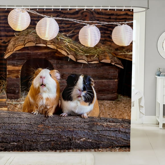 Guinea Pig Shower