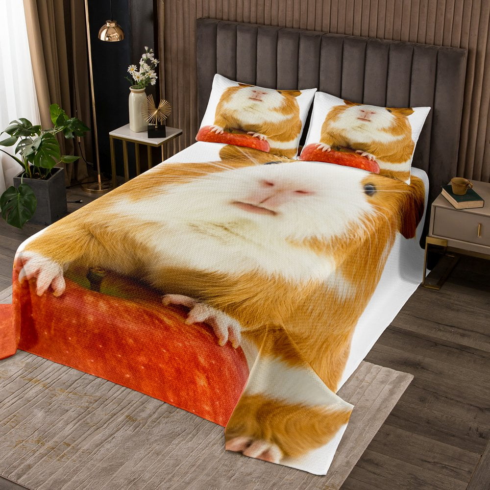 YST Lovely Guinea Pig King Quilt Set for Kids Boys Girls Red Apple