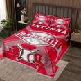 thumbnail image 1 of Erosebridal Twin Quilt Set for Youth,Baseball Coverlet Set Baseball Lovers Bedspread Set,Red Gray Ball Game Bed Cover with 1 Pillowcase All Season,Cincinnati, 1 of 4