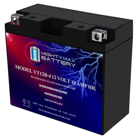 YT12B-4 12V 10Ah SLA Replacement Battery Compatible with Protek YT12B-4