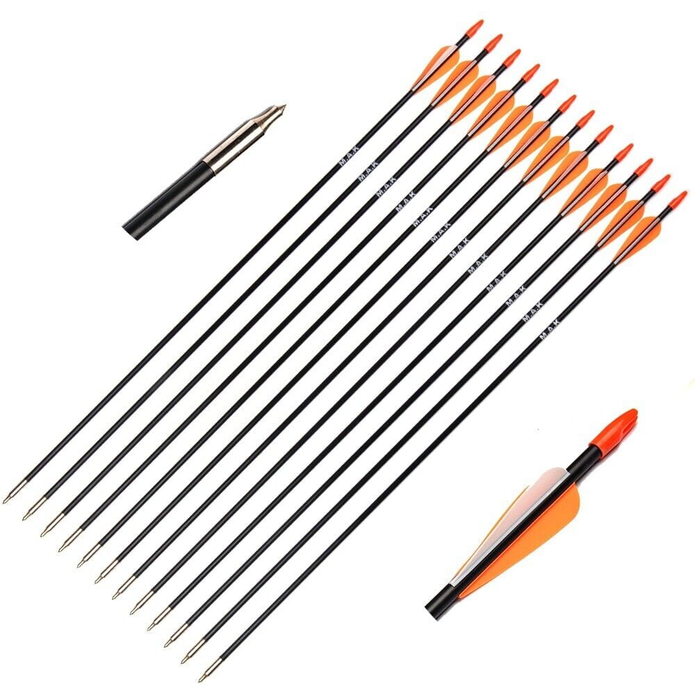 YTBW 12Pcs 31 Inch Archery Fiberglass Target Practice Arrows For