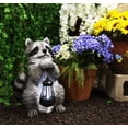 thumbnail image 1 of YTC SUMMIT North American Raccoon Statue Holding Solar Powered Lantern LED Light Patio Decor Indoor Outdoor Racoon, 1 of 5
