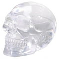 thumbnail image 1 of YTC Summit 5451 SMALL TRANSLUCENT SKULL, C-36, 1 of 2