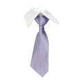 thumbnail image 1 of YTCAMLO Solid Color Men's Satin Neckties 3.15'' Fashion Business Necktie Tie for Men Formal Occasion Wedding Purple2, 1 of 3