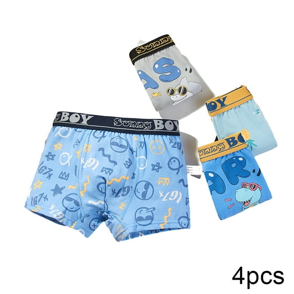 YTDSCS 2-18 Years Boys Dinosaur Underwear Boxer Briefs for Teen Kids Toddler Cartoon Shorts Boxer Breathable Briefs for Baby 4PCS (Floral Mix & Match)