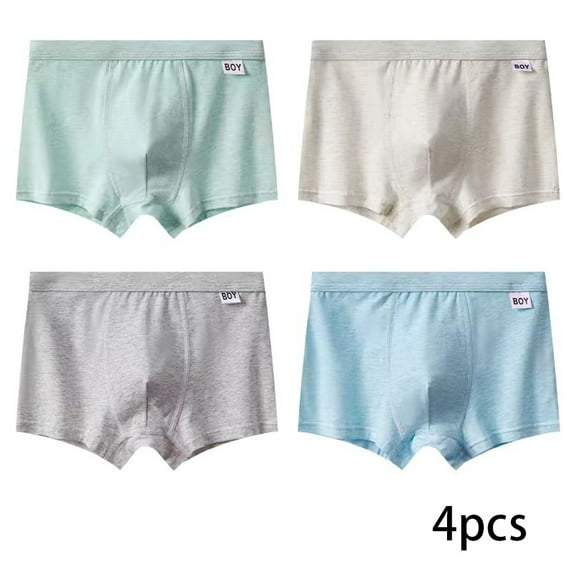 YTDSCS 4Pack Teen Boys Soft Underwear Cotton Boxer Briefs Shorts Panties Comfort Underwear Assorted Boyshort Panties M-4XL