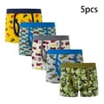 thumbnail image 1 of YTDSCS Little Boys Soft Cotton Underwear for Baby Toddler Kids Boxer Briefs Shorts Dinosaur Cartoon Four Corners Shorts 5pack Size 2-12, 1 of 6