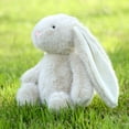 thumbnail image 1 of YTTAL Vibrant Green Floppy Ear Bunny Plush - Ultra-Soft Fluffy Stuffed Animal | Perfect for Easter Decor & Gift for Bunny Lovers, 1 of 5