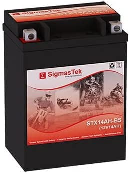 YTX14AH-BS AGM Maintenance Free Motorcycle Battery (Replacement ...