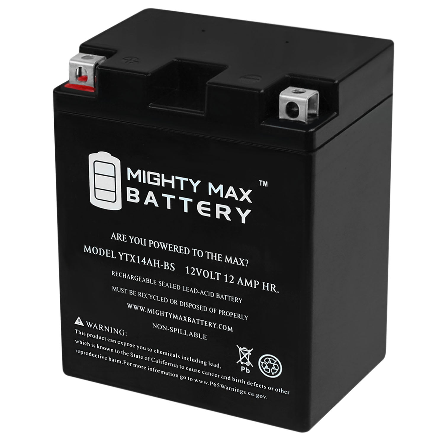 MIGHTY MAX BATTERY YTX14AH-BS 12V 12Ah Battery Replacement for Suzuki Quad ATV Dirt Bike