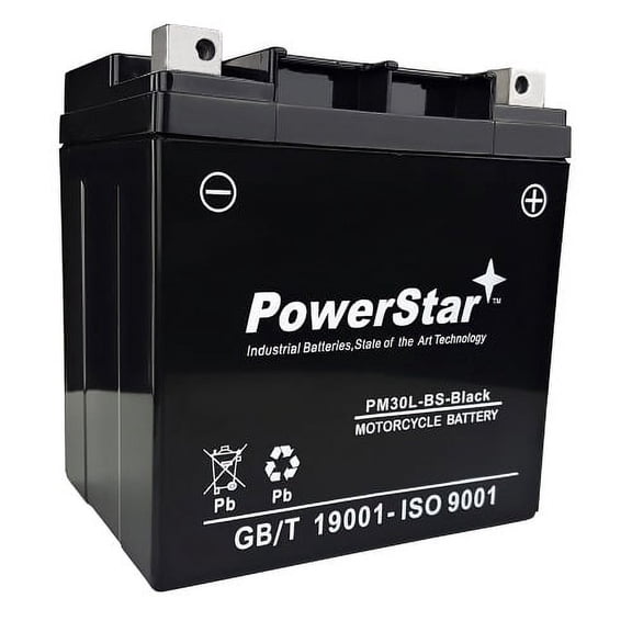 YTX30L-BS Battery Replaces GS-JSB-YGIX30, GS-ZYI-YGIX30, Interstate-YIX30L