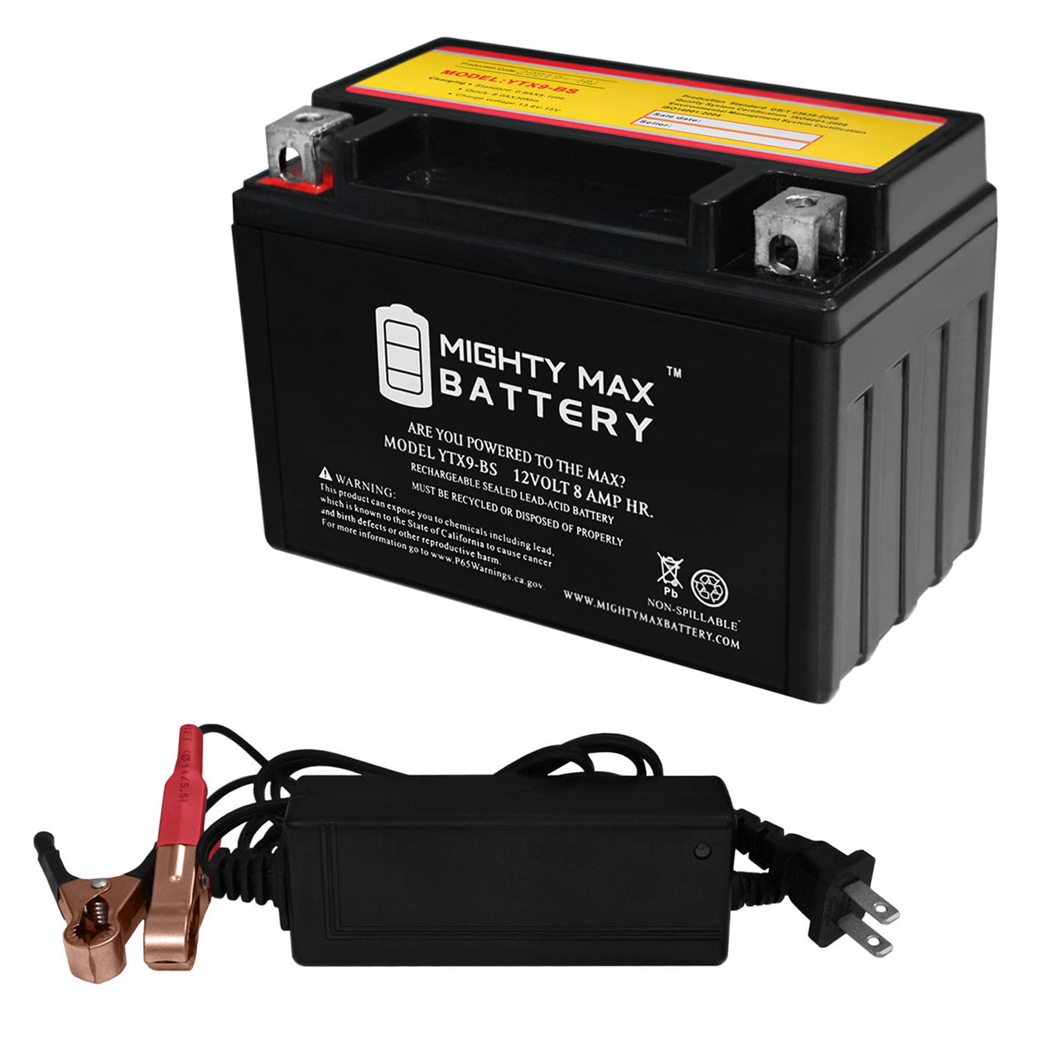 YTX9-BS Replaces EverStart ES9BS Powersport + 12V 2Amp Charger - image 1 of 1