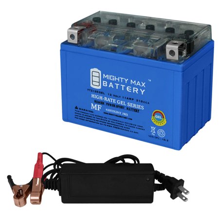 YTZ12S GEL Replacement Battery for Hayabusa GSF1250S + 12V 2Amp Charger