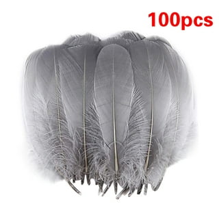 Washed Big-Broad Goose Round Feather for Making Feather Crafts - China  Feather and Duck Feather price
