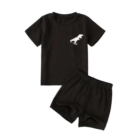 YUEHUA Outfit for Boys 2T Boys Short Sleeve Cartoon Dinosaur Prints T Shirt Tops Shorts Child Kids Outfits,Size 3-4 Years