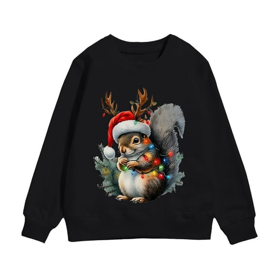 YUELONGHU Big Boys Sweatshirts & Hoodies 3-4 Years Kids Sweater Vest Girls Size 6 Kids Christmas Squirrel Print Long Sleeve Sweatshirt