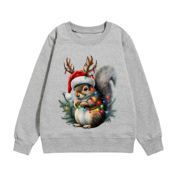 YUELONGHU Big Boys Sweatshirts & Hoodies 3-4 Years Kids Sweater Vest Girls Size 6 Kids Christmas Squirrel Print Long Sleeve Sweatshirt