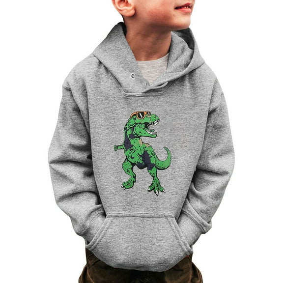 YUELONGHU Big Boys Sweatshirts & Hoodies 3-4 Years Kids Sweaters Girls Little Boys Girls Dinosaur Sweatshirts Long Sleeve Hooded Pullover Toddler Kids Winter Warm Shirt Sweater Tops 3 14Years