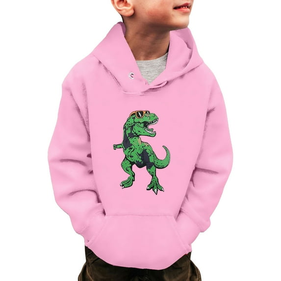 YUELONGHU Infant Big Boys Sweatshirts & Hoodies 5-6 Years Kids Sweaters Girls Little Boys Girls Dinosaur Sweatshirts Long Sleeve Hooded Pullover Toddler Kids Winter Warm Shirt Sweater Tops 3 14Years