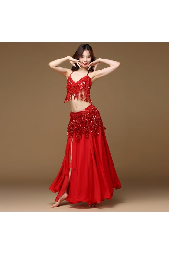 Skirt for Women Plus Size Women Belly Dance Costume Belt Skirt Hip Wrap Outfit Sequins Tassels Bead Scarf