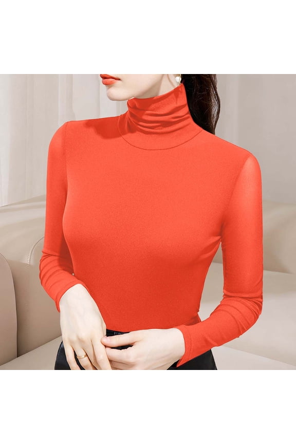 Stylish Casual High Neck Slim Fit Mesh Insulated Stretchy Long Sleeve Top for Women