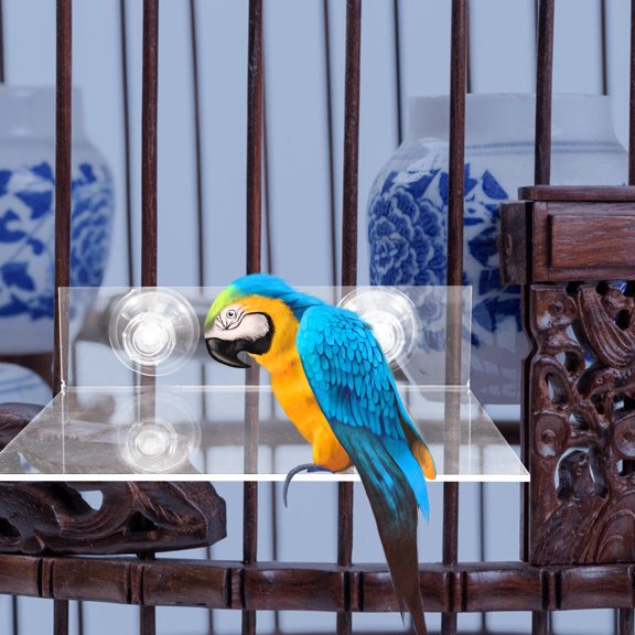 YUNLIGHTS Lightweight Acrylic Bird Perch Stand for Shower Wall and Window Use