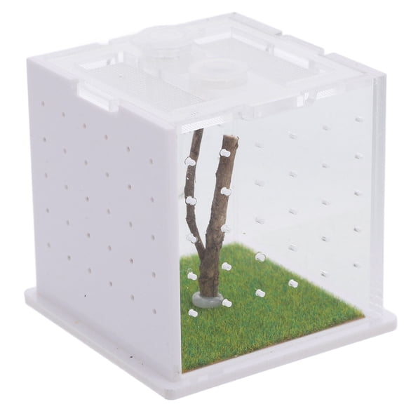 YUNLIGHTS Clear Acrylic Insect Habitat Case for Spider Feeding and Breeding with Portable Design