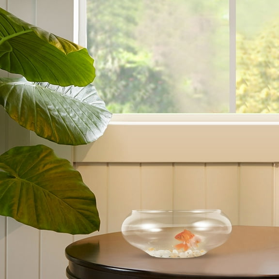 YUNLIGHTS Glass Fish Bowl for Home and Office Decoration with High Transparency Design