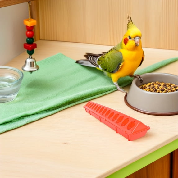 YUNLIGHTS Pigeon Feeding Trough Pigeon Food Feeder Long Feeding Trough ...