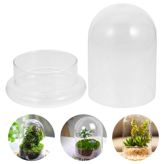 YUNLIGHTS Glass Terrarium Jar with Lid for Decorative Plants and Moss Display