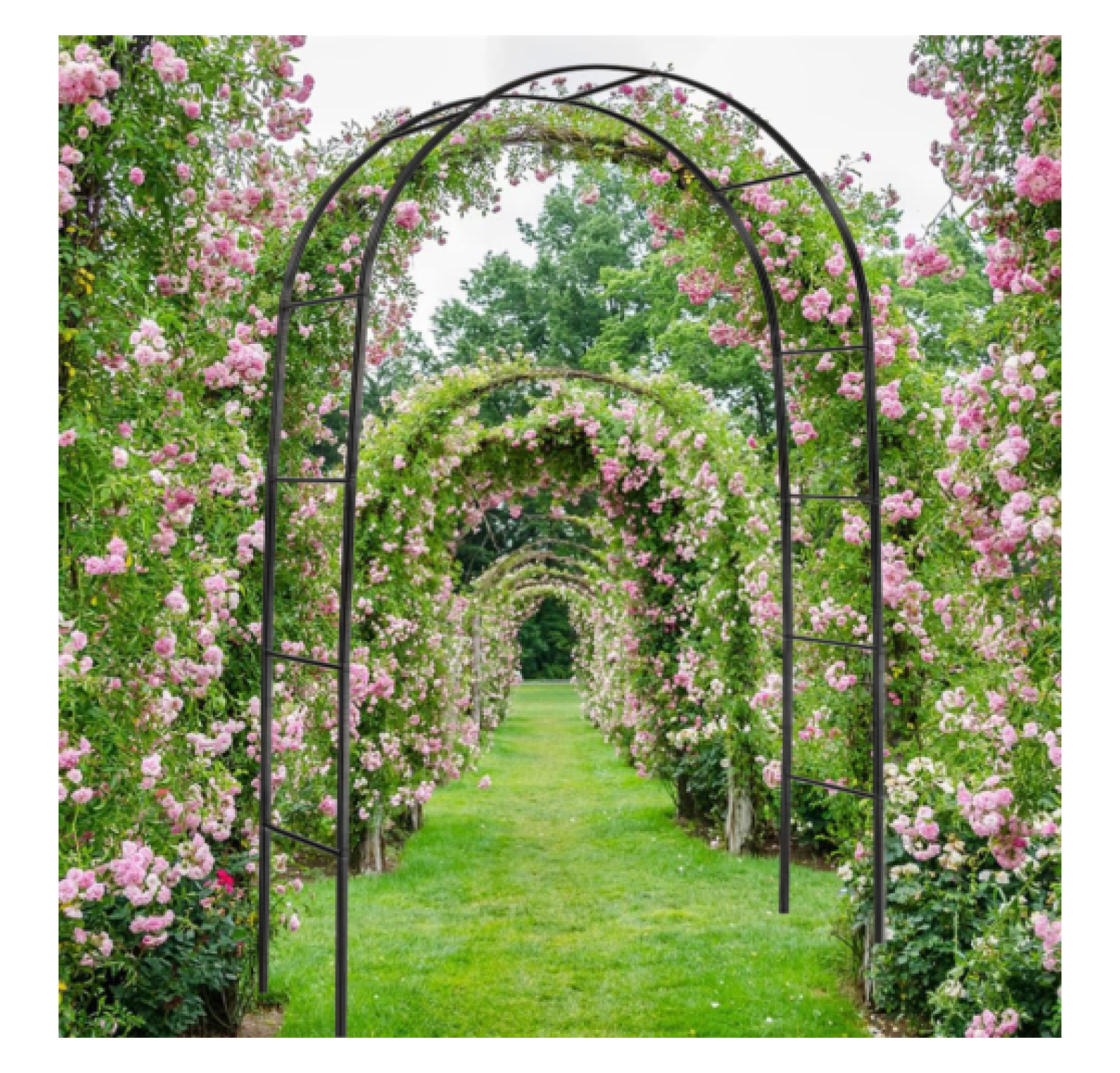 YUNTIE Heavy Duty Metal Garden Arch Rose Archway Pergola Arbour ...