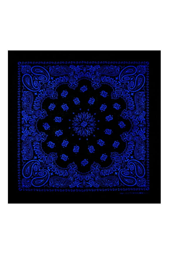 Bandana Kerchief Unisex Hip Hop Paisley Floral Hair Band Neck Scarf Sports Wrist Wraps for Head Square Scarves Handkerch