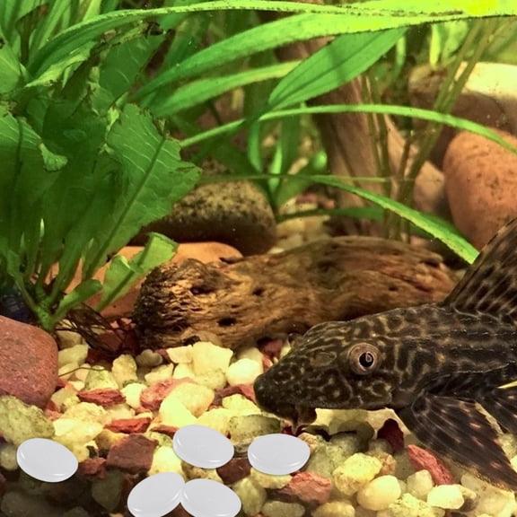 YUYUETIME 100Pcs White Round Small Pebbles for Effect 1.2X1.2X0.4In