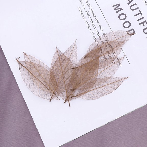 YUYUETIME 40Pcs Brown Artificial Skeleton Leaf Vein Specimens for DIY Crafts and Wedding Decoration