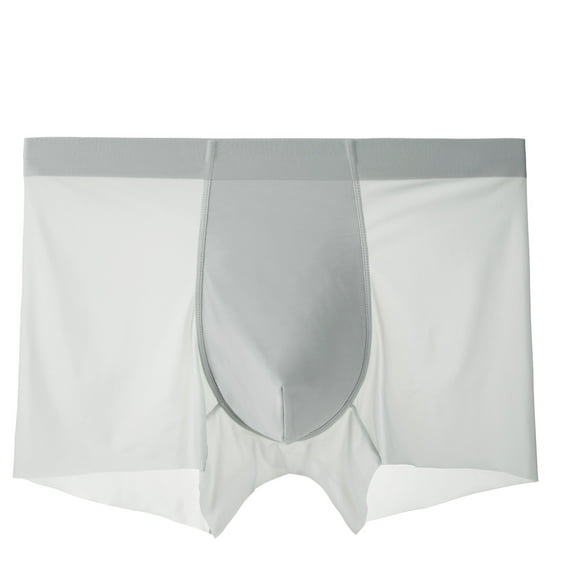 YWDJ Boxer Briefs for Women Breathable Plus Size Breathable Lightweight No Show Men’s Breathe Underwear Separation Scrotum Physiological Underpants Sky Blue XL