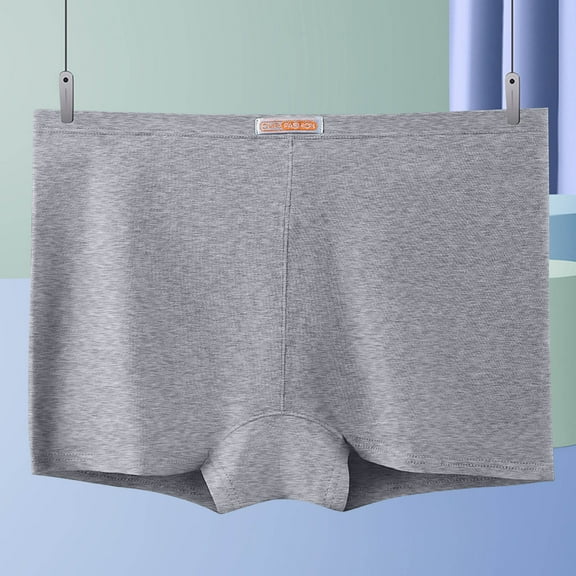 YWDJ Boxer Briefs for Women Breathable Plus Size Cotton Lightweight High Waist No Show Solid Fashion Briefs Comfortable Cotton High Waist Panties Briefs Gray 2XL