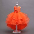 thumbnail image 1 of YWDJ Children Baby Girls Middle-aged Childrens Sleeveless Embroidery Mesh Dress Gauze Dress Princess Dress Orange 5-6T, 1 of 9