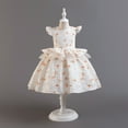 thumbnail image 1 of YWDJ Girls Spring Casual Dresses Childrens Dress Skirt Girls Clothing Small And Medium-sized Girls Performance Puffy Little Girl Princess Skirt White 2Y, 1 of 6