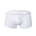 thumbnail image 1 of YWDJ Mens Boyshorts Underwear Lightweight No Show Mens Striped Underwear Low Waisted Sexy and Funny Mesh Boxer Underwear Briefs Pants White L, 1 of 3