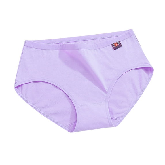 YWDJ Womens Underwear Briefs Plus Size Cotton Lightweight No Show Fashion Basic Elastic Comfortable Color Cotton Underwear Blue 2XL