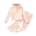 thumbnail image 1 of YWIYIUD Toddler Baby Girl Clothes Sets Long Sleeve Ribbed Knit Hooded Sweatshirt Flared Pants Set Casual Two Piece Hoodies Bell Bottom Outfits Fall Winter Clothes Set for Girls 1-2 Years, 1 of 6