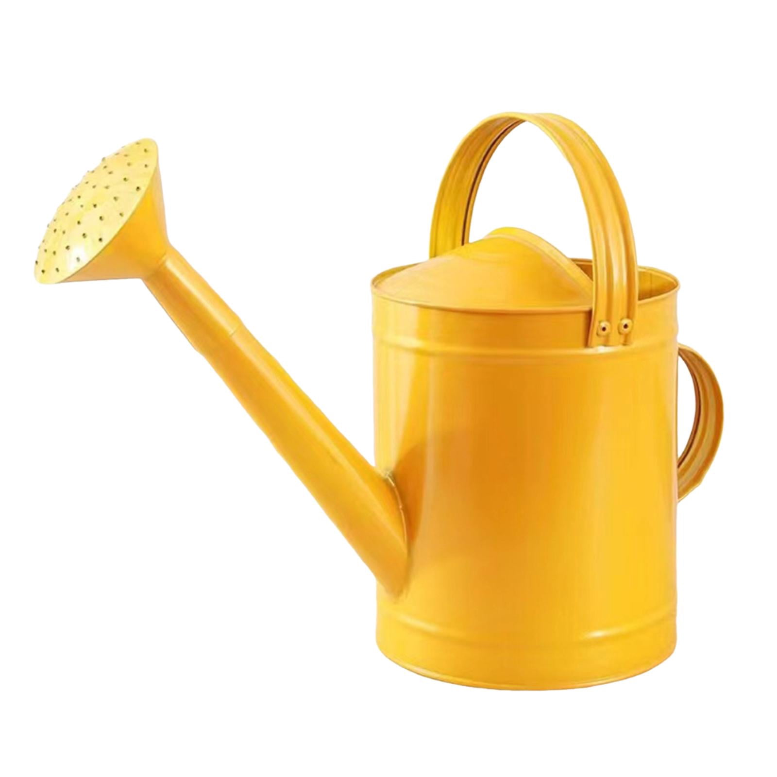 YWMJZEU 4L Watering Can with Handle, Leak, Removable Spout, Garden Tool, Rust-Resistant, golden