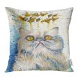 thumbnail image 1 of YWOTA Fantasy Colorful Watercolor Painting of Dreaming Persian Cat and Butterflies Pillow Cases Cushion Cover 16x16 inch, 1 of 1