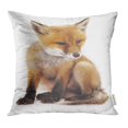 thumbnail image 1 of YWOTA Orange Crazy Little Fox White Red Animal Beautiful Canine Carnivore Child Conspiracy Pillow Cases Cushion Cover 18x18 inch, 1 of 1